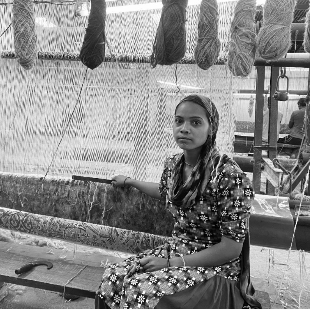 Jaipur Carpet Studio Working